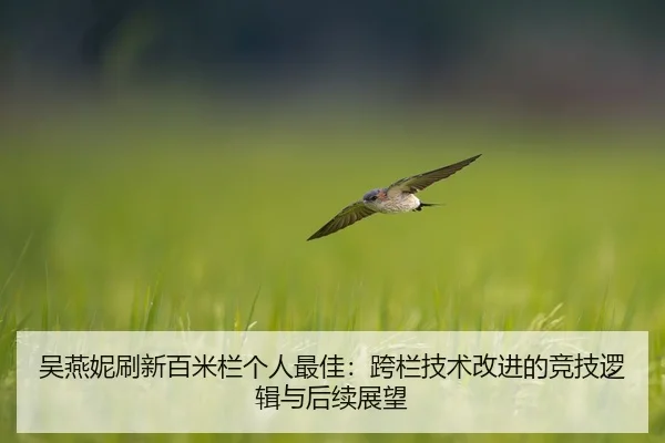 wu-yan-ni-shua-xin-bai-mi-lan-ge-ren-zui-jia-kua-lan-ji-shu-gai-jin-de-jing-ji-luo-ji-yu-hou-xu-zhan-wang-2-519.jpg